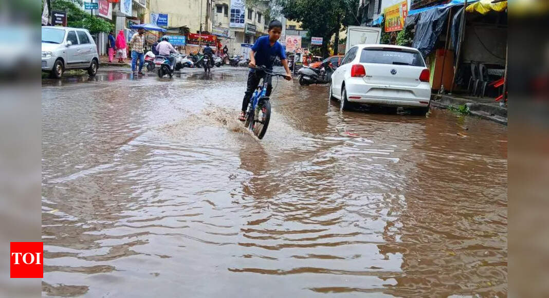 The Times of India - Politics - News Image