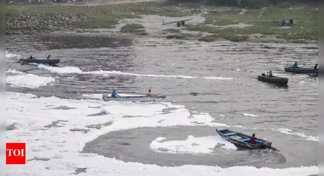 Delhi government plans to revive Yamuna by dredging