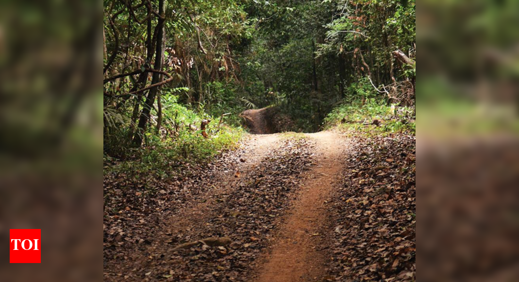 Age-old forested way linking Goa, Karnataka to be shut