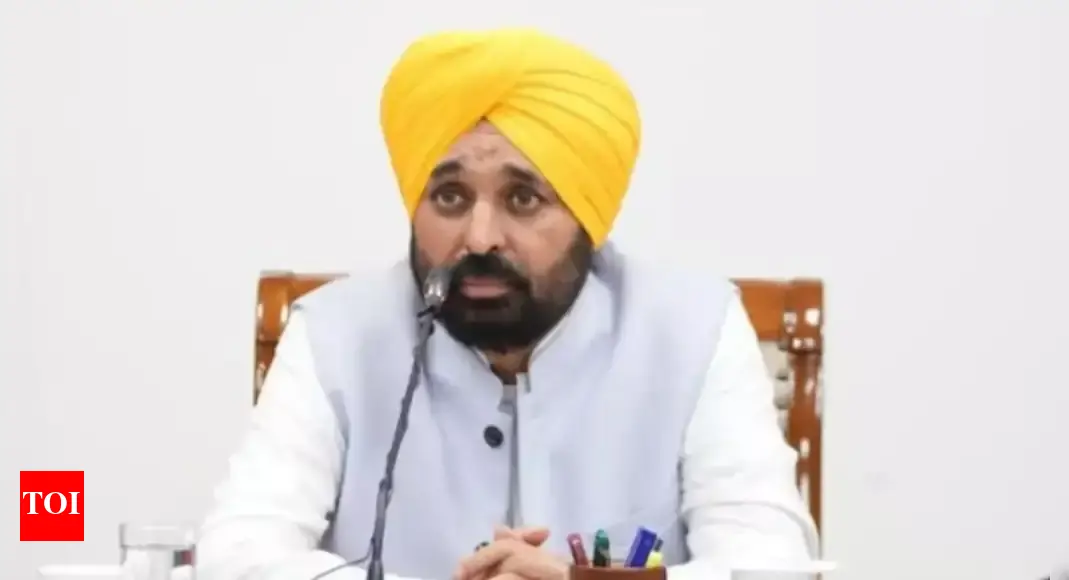 Cleanliness drive to begin in 2,300 flood-hit villages: Punjab CM Bhagwant Mann