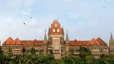 Bombay HC hearing constitutional validity challenge to SEBC Act seeks clarity on interplay between Maratha reservation and new GR