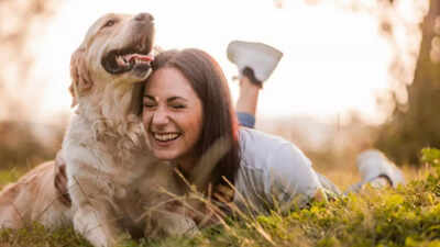 5 dog breeds that are very emotional and empathetic (and easily become a part of the family)