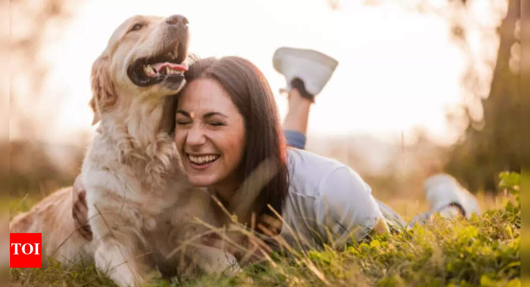 5 dog breeds that are very emotional and empathetic (and easily become a part of the family)