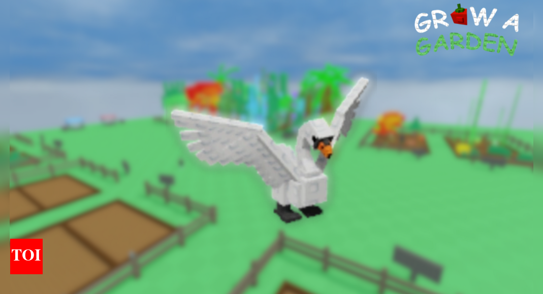 How to get Swan in Grow a Garden