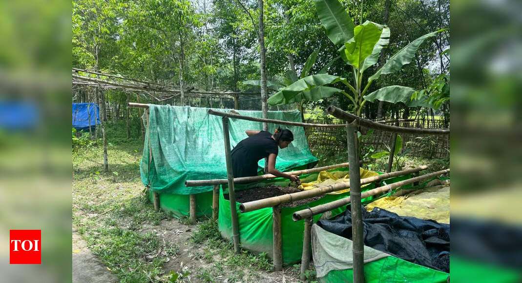 Jorhat woman’s Rs 10 worms give birth to composting campaign