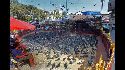 Maharashtra minister Lodha inaugurates kabutarkhana at Jain temple in Mumbai