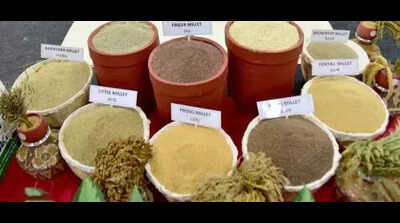 Agri startups explore new markets amid US tariff challenge