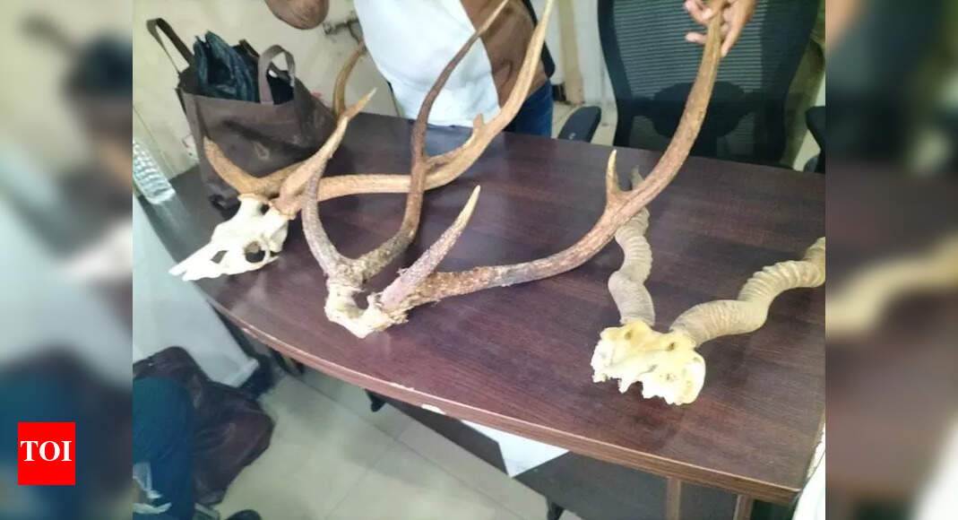 The Times of India - Other - News Image