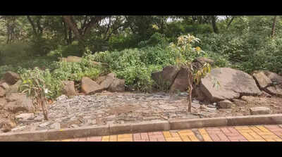 Wadgaon Sheri residents reclaim streets with massive cleanliness drive