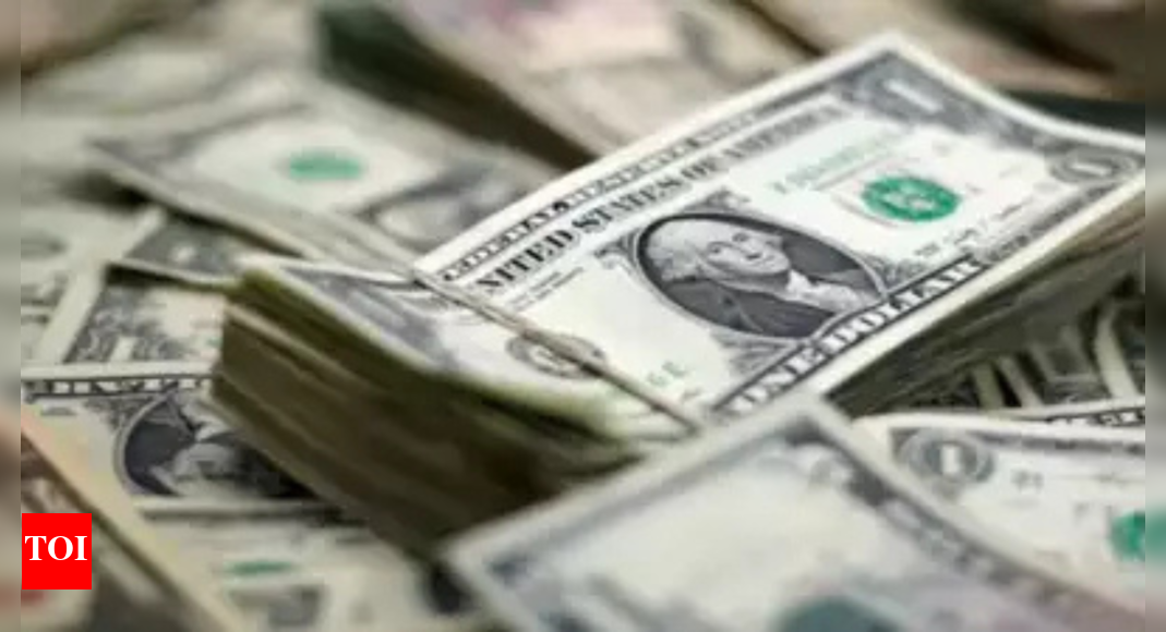 IPO rush: 4 companies to raise up to $5bn in Oct-Nov