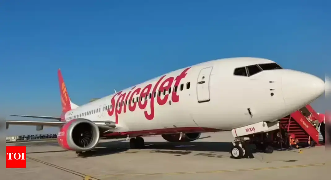 SpiceJet takes lease route to double fleet this winter
