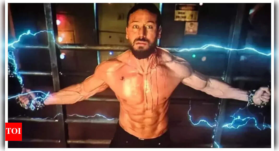 <div>Tiger Shroff's Baaghi 4 falls shy of Rs 50 cr at box office</div>