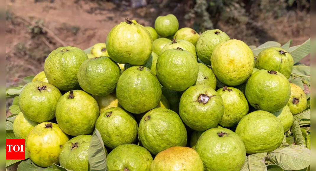 5 tips to choose sweet, flavourful, and fresh guavas every time