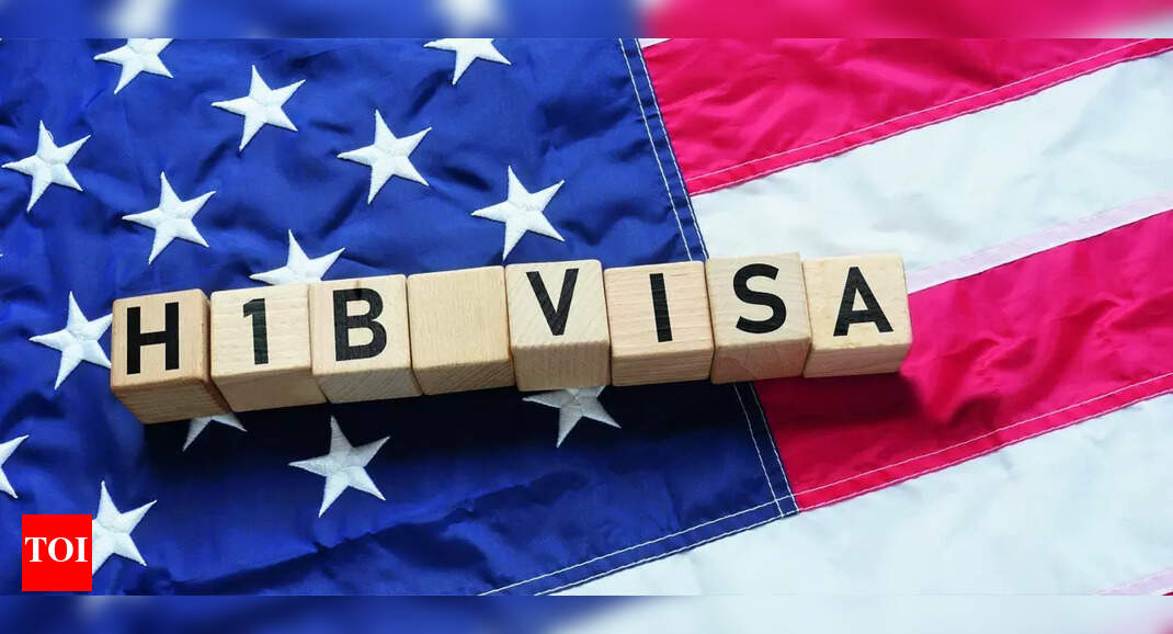 '73% of H-1Bs go to India': American ed-tech chairman accuses system of favouring one country