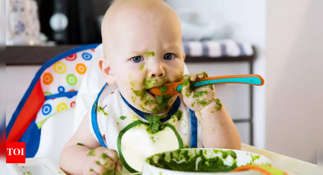 3 or 6 meals a day? How and when should you eat