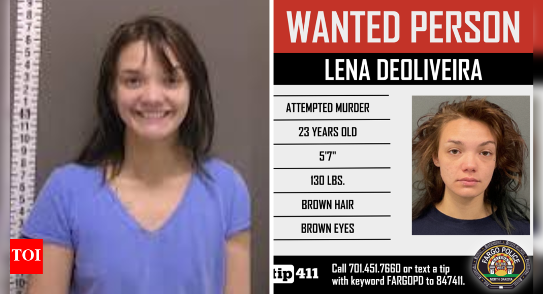'Chilling grin': North Dakota woman allegedly attacks sleeping boyfriend with hatchet; smiles during arrest