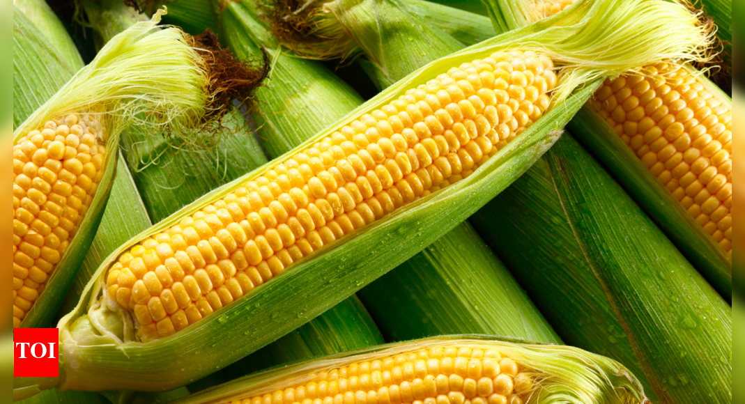 Not all carbs are bad: What a nutrition coach says about this popular staple and diabetes