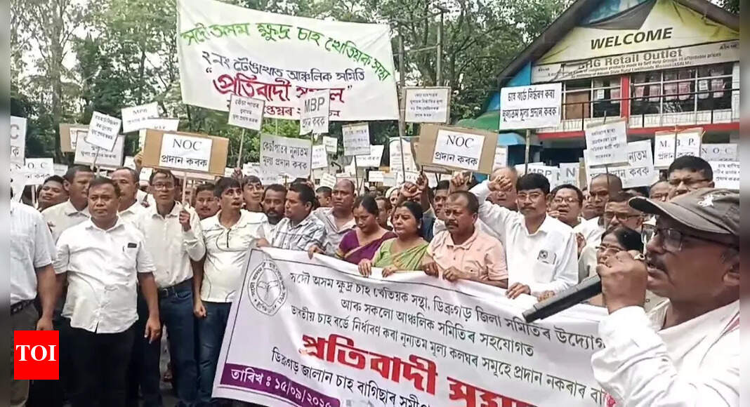 Over 3000 small tea growers protest in Dibrugarh against falling leaf prices