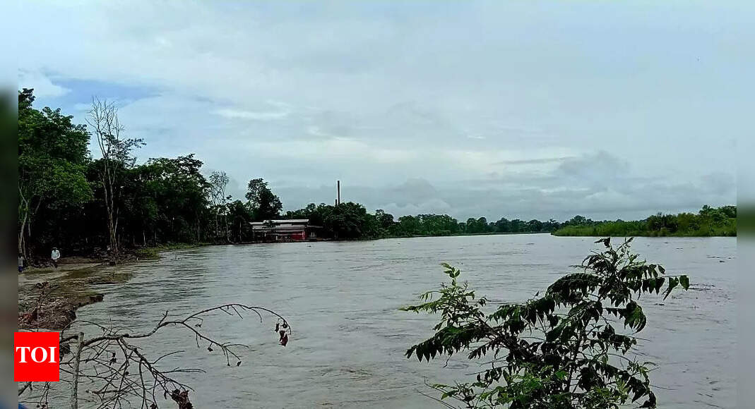 Golaghat district issues flood alert as 3 rivers flow above danger mark following heavy rain