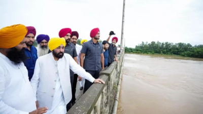 'Enmity with Punjab?’: CM Mann raps Centre’s Rs 1,600 cr Punjab flood relief; compares it with Afghanistan aid