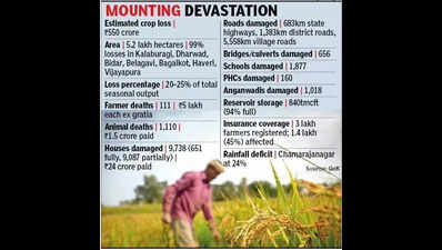 Crops lost, relief delayed: Karnataka farmers reel under double whammy