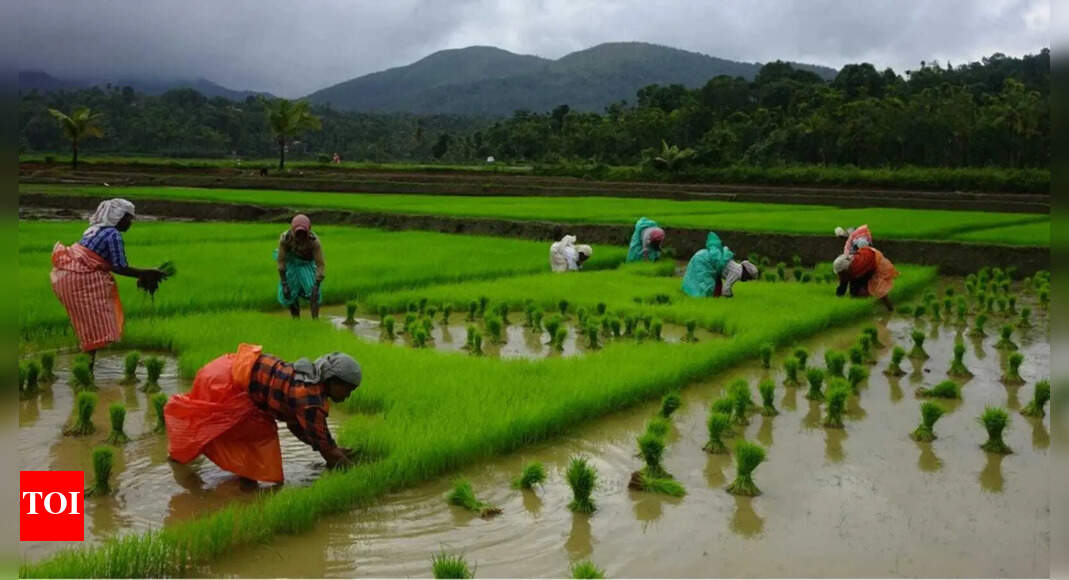 Experts discuss idea of gram secretariat to boost agri in Goa