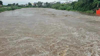 Marathwada downpour claims 2 lives; over 55 rescued; schools shut in Beed today