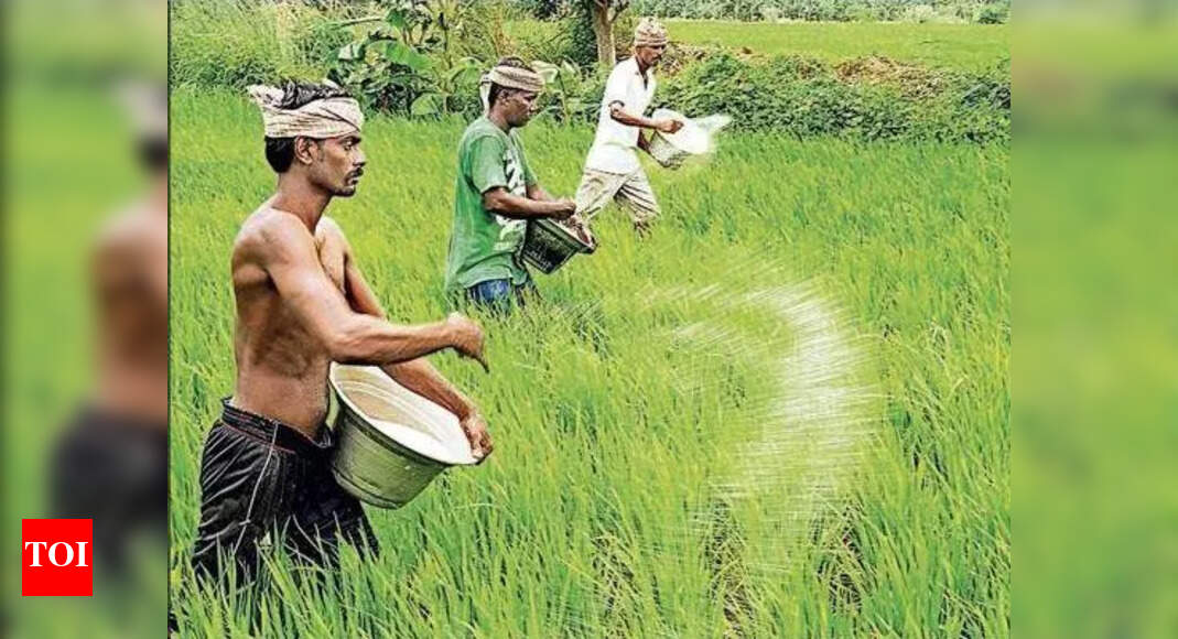 Farmers protest in Ganjam district for urgent urea supply amid fertilizer crisis