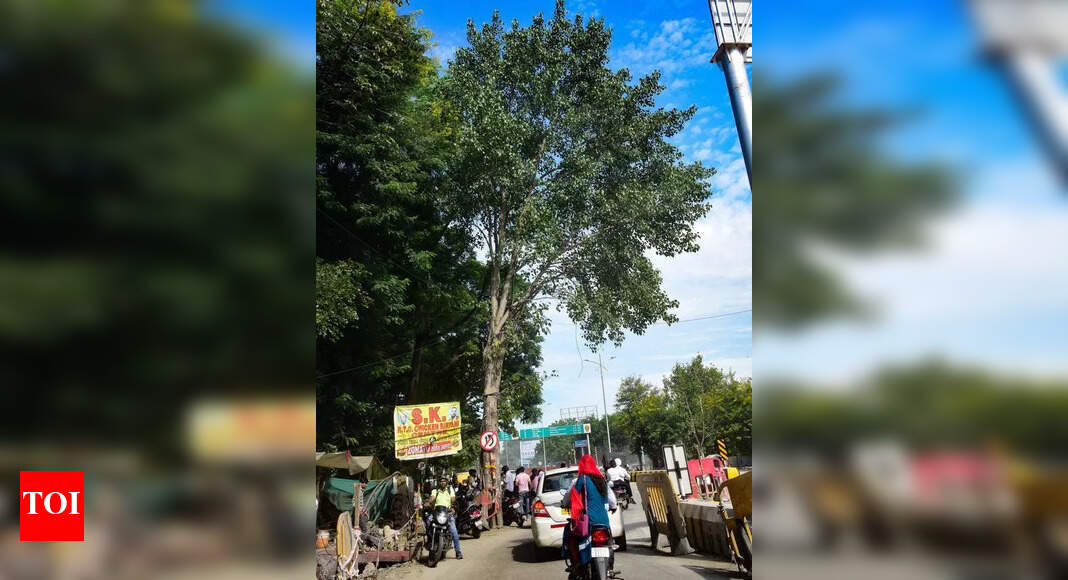 The Times of India - Business - News Image