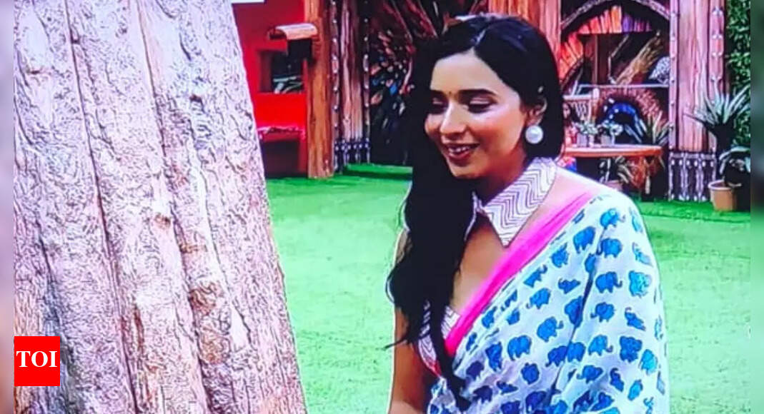 Bigg Boss 19: Tanya Mittal reveals the real reason behind her viral Dubai trips to just eat ‘Baklava’