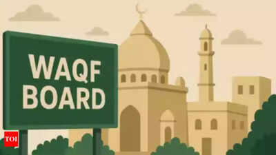 'Incomplete, unsatisfactory' order: AIMPLB