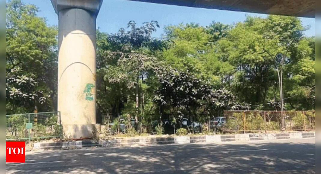 Culpable homicide, destruction of evidence: Delhi BMW crash accused faces serious charges; FIR filed