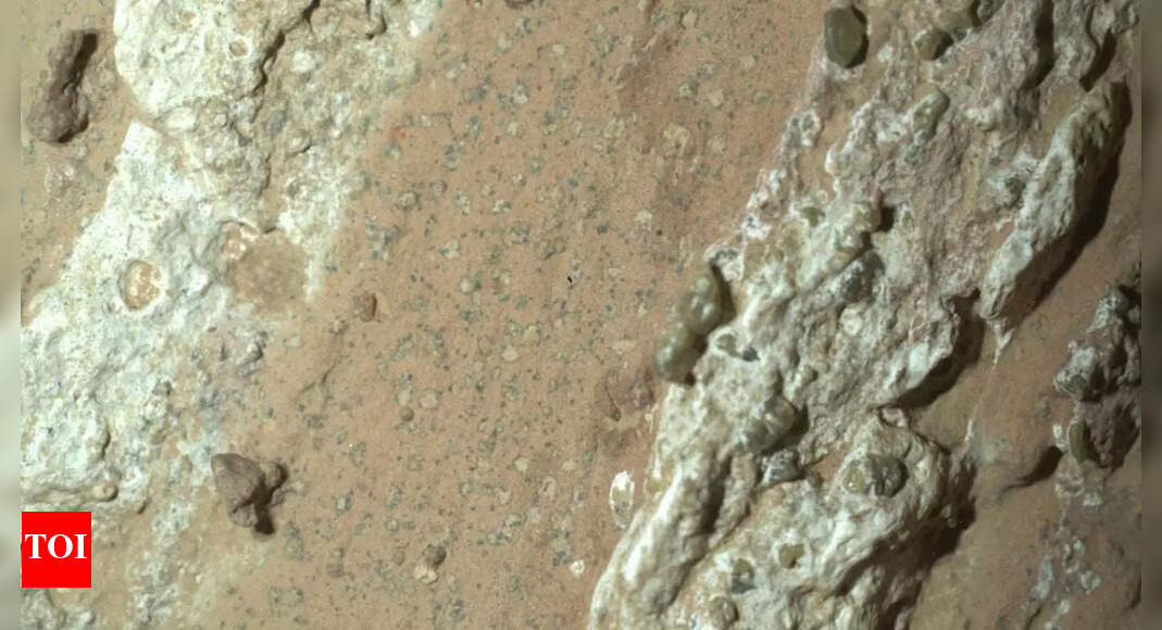 Life on Mars: Nasa rover discovers strongest sign of life on Mars; all you need to know