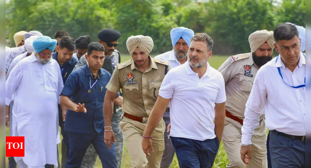 <div>Throwing tantrums: BJP shares video of Rahul Gandhi’s spat with cop in flood-hit Punjab; calls it drama</div> <div>'Throwing tantrums': BJP shares video of Rahul Gandhi’s spat with cop in flood-hit Punjab; calls it 'drama'</div>