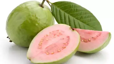 கொய்யா சாப்பிடுவதைத் தவிர்க்க வேண்டிய 4 நபர்கள்; அதன் பக்க விளைவுகள் மற்றும் அபாயங்களை அறிந்து கொள்ளுங்கள்