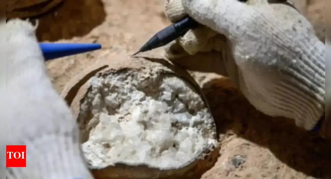 AI Generated Newscast About Dinosaur Eggs: Scientists Stunned by Atomic Dating Breakthrough!