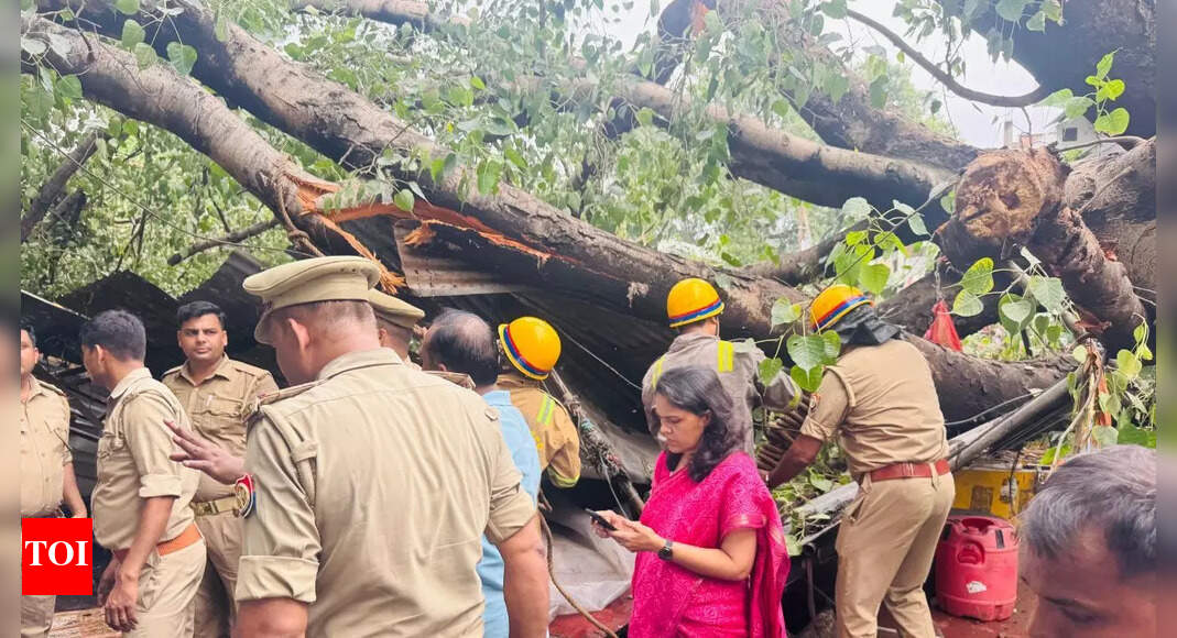 1 dead, several injured as 100-year-old peepal tree collapses in Lucknow’s Kaiserbagh area