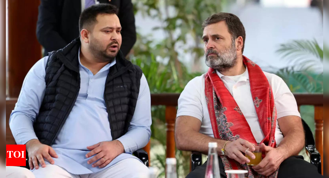 <div>'No confusion': Tejashwi says CM face to be named at 'right time'; cites 'people's mandate'</div>