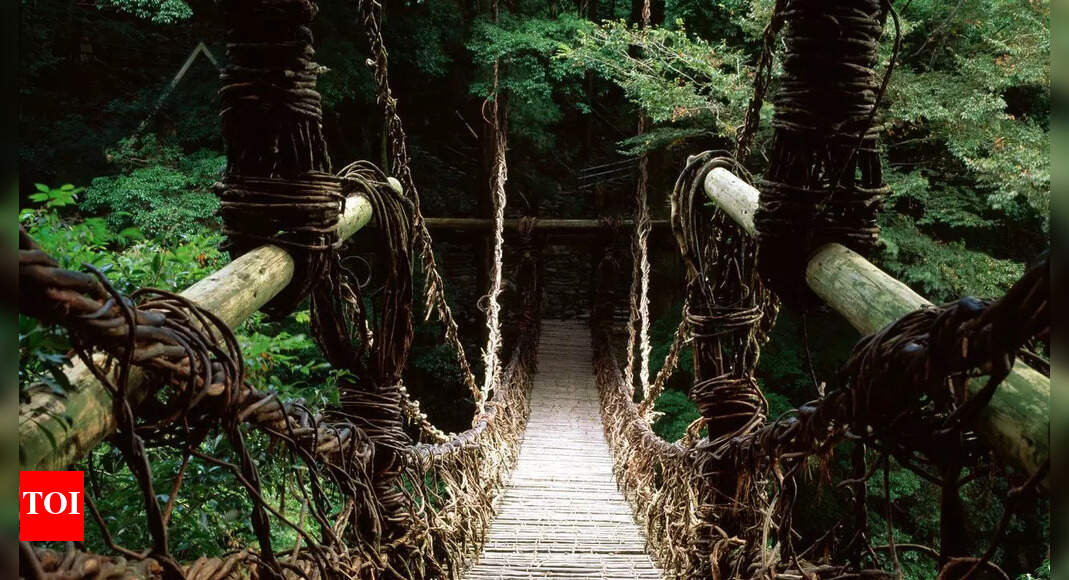 The most dangerous and scary bridges in the world that will make your heart race