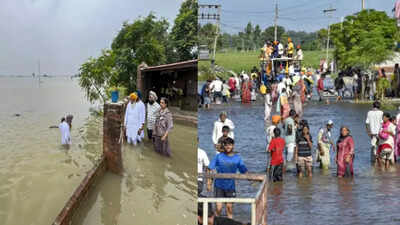 Punjab government sets up health camps in flood-hit areas, over 51,000 people attended on day one
