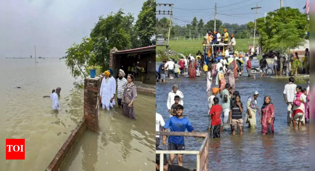 Punjab government sets up health camps in flood-hit areas, over 51,000 people attended on day one