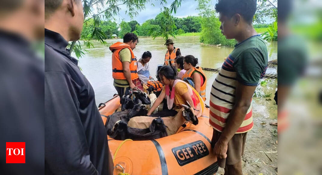 Heavy rain in Nagaland, water released from Doyang dam flood Golaghat