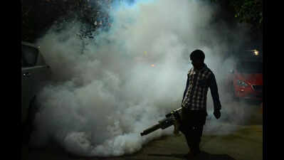 Vijayawada battles seasonal diseases amid inadequate sanitation