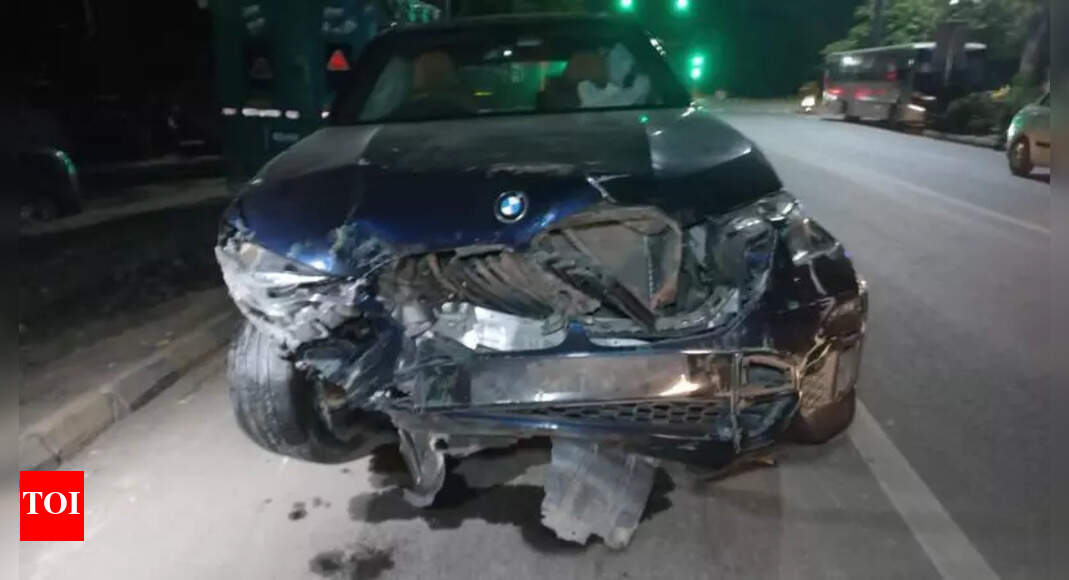 ‘No intent, no negligence’: Accused Gaganpreet Makkad files bail plea in Delhi BMW accident case