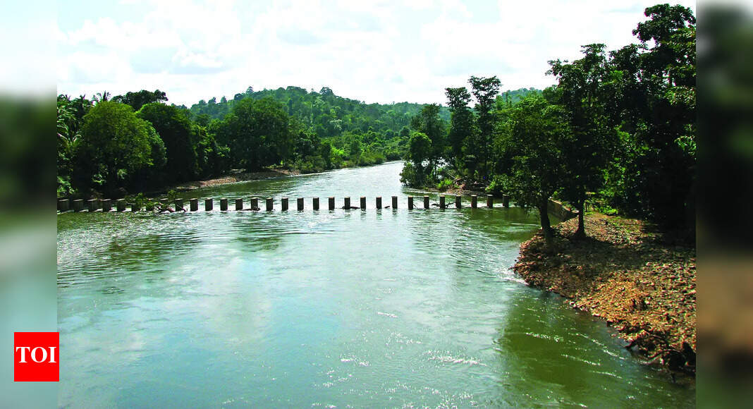 Justice Rebello questions Goa’s planning for Mhadei water projects