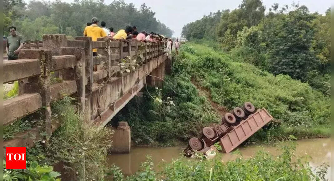 Driver dies as truck meets with accident | Bhubaneswar News - The Times ...
