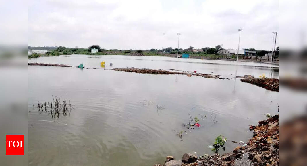 Rain damages crops spread over 41 lakh acres in 29 Maharashtra ...