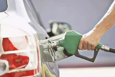 Puri hints at ethanol pause, trashes E20 engine damage claims