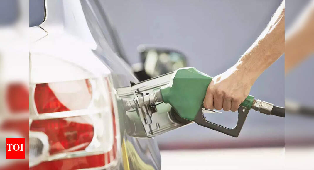 Puri hints at ethanol pause, trashes E20 engine damage claims