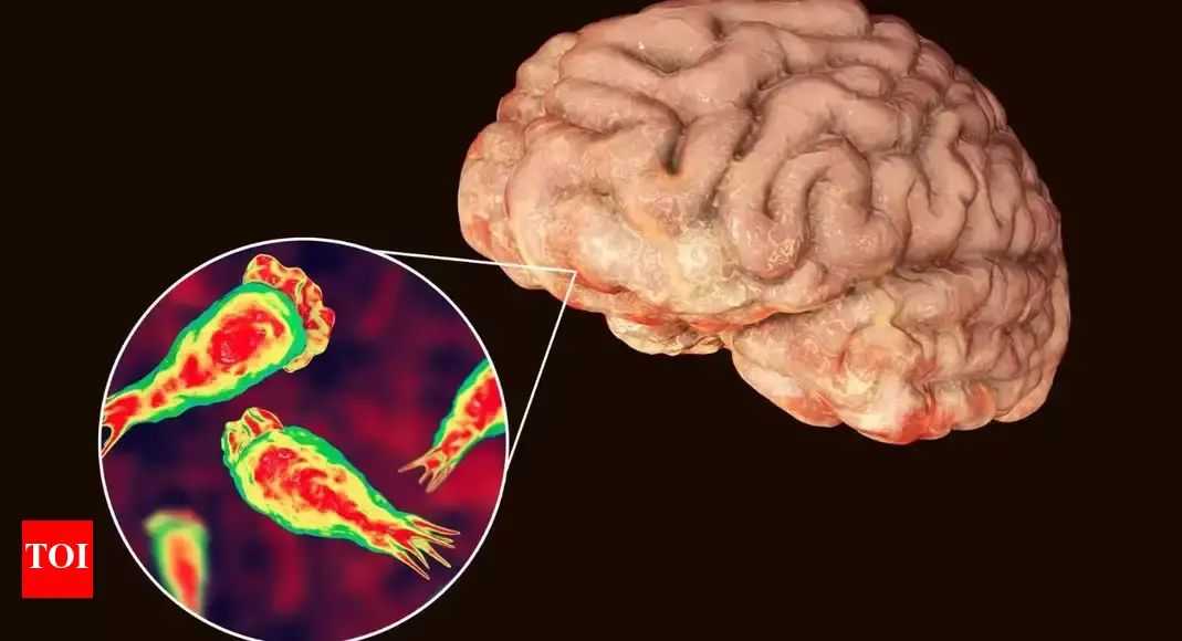 'Brain-eating amoeba' claims 19 lives in Kerala